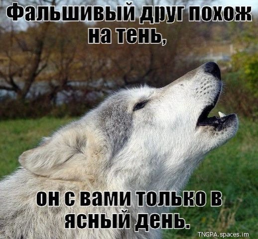 N5QCRjLMv08DIj