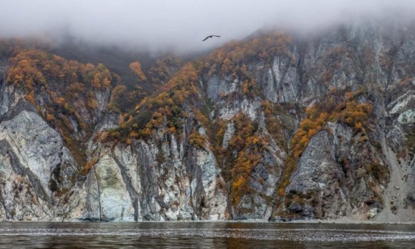 Жизнь на нашей планете. Мое предупреждение миру на грани кат
