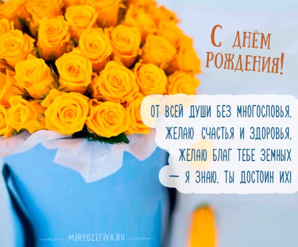 file_81288115