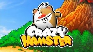 Crazy Hamster