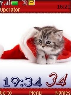 New Years cats12pict swf
