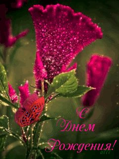 file_68886053