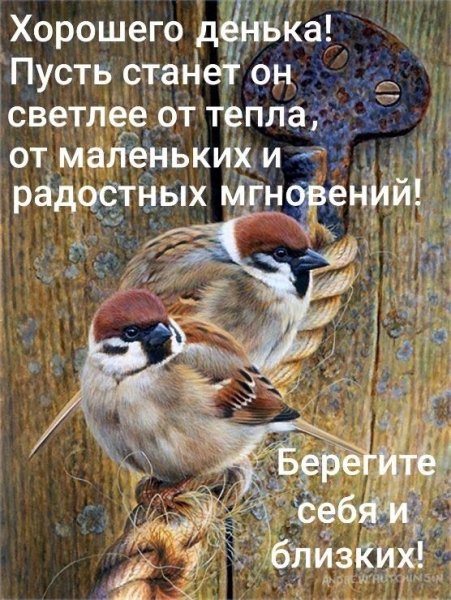 file_91629945