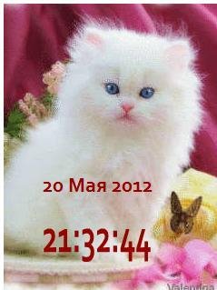 х2котенок