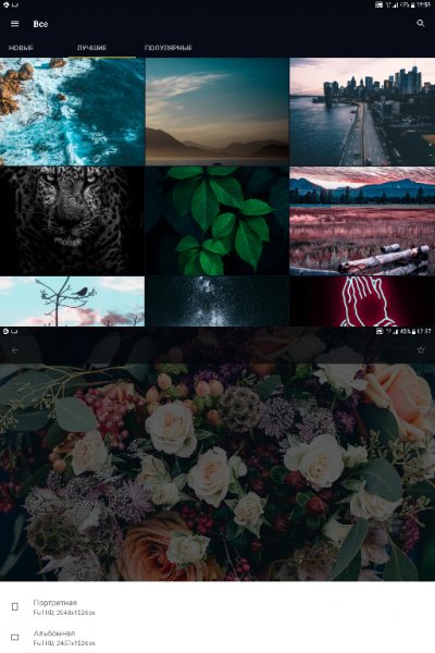 WallpapersCraft v2.0.5(20005) MOD