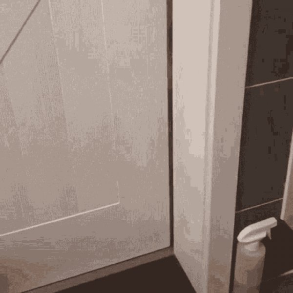 Cat-entering