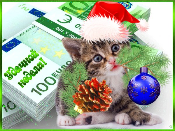 Удачной недели!