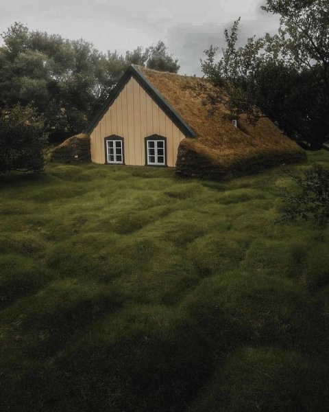 file_95042700