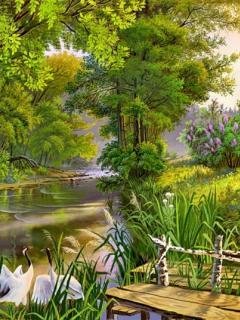 Nature