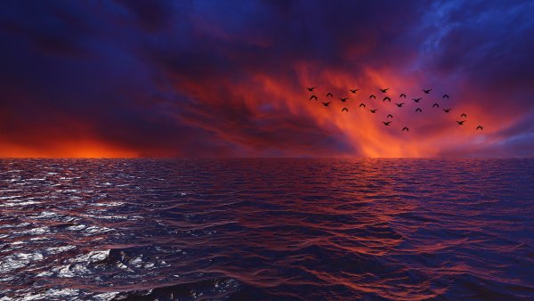 waves-sky-birds-4k-s2-5120x2880