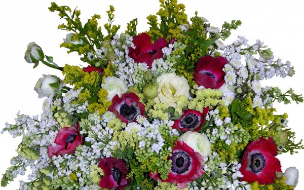 file_86582966