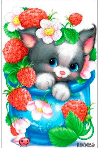 file_81356500