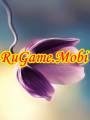 theme 54425