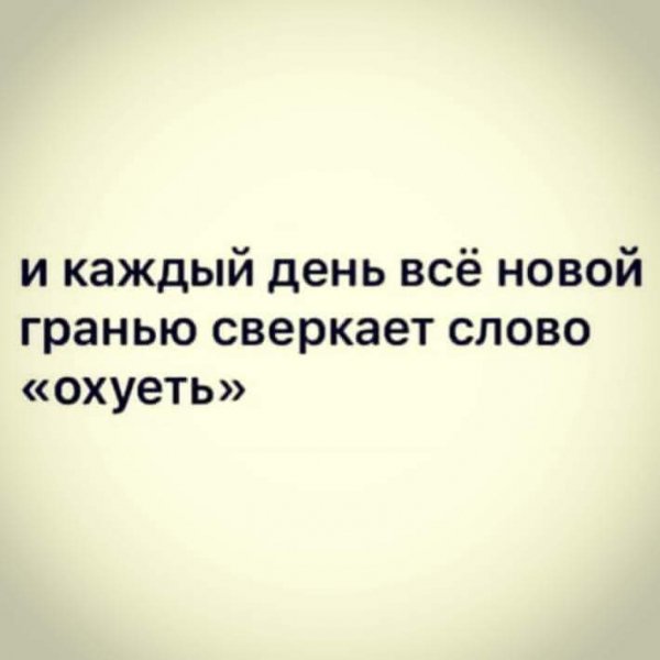FB IMG 1604588281326