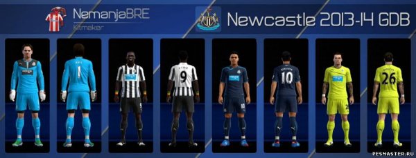 Newcastle 2013-14 GDB