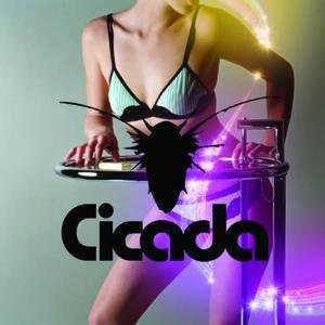Cicada - The Things You Say