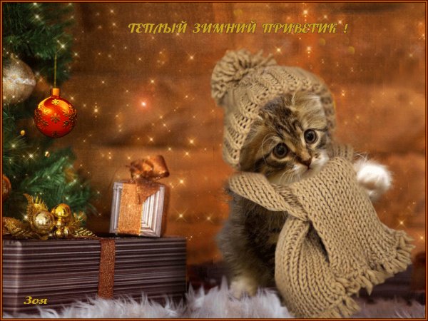 Теплый зимний приветик!