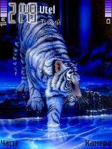 Tigr