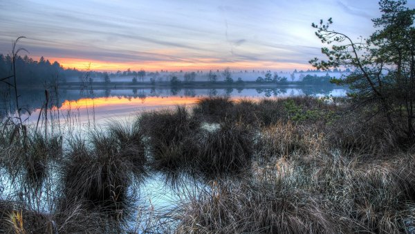file_78097125