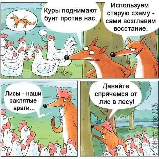 FB IMG 1777393524295