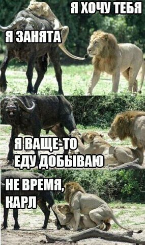 IMG 20250924 183939