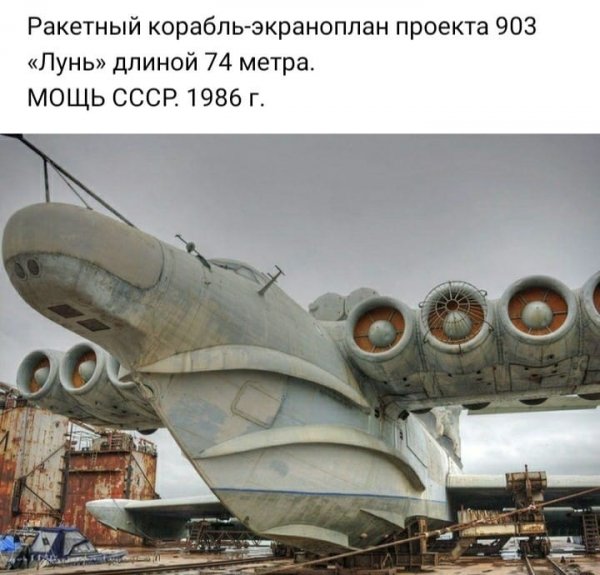 file_88564170