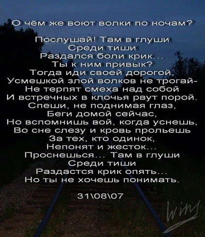 О чём воют волки по ночам?