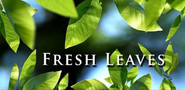 Fresh Leaves v1.8
