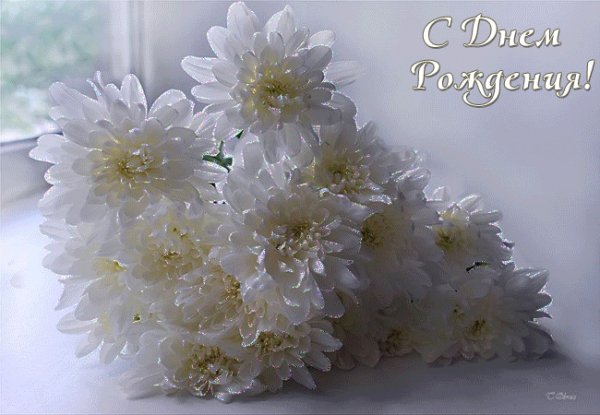 sdnemrozhdeniya4