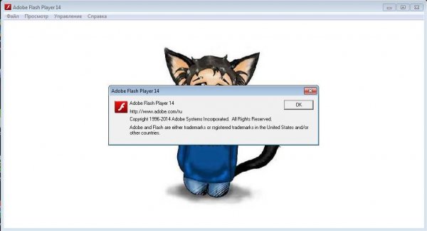FlashPlayer v.14
