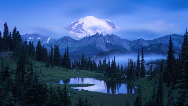file_94659830