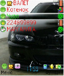 Скин на Баян BMW