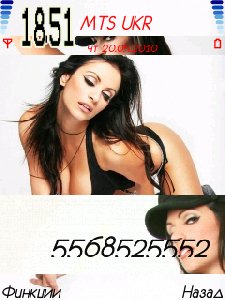 theme 13685
