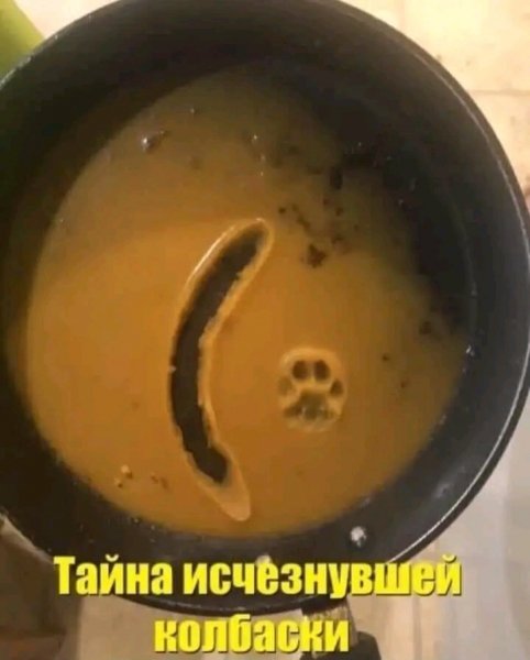 file_98480366