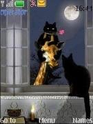 night-and-the-moon anim