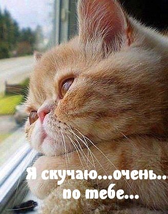 IMG 20181208 862794