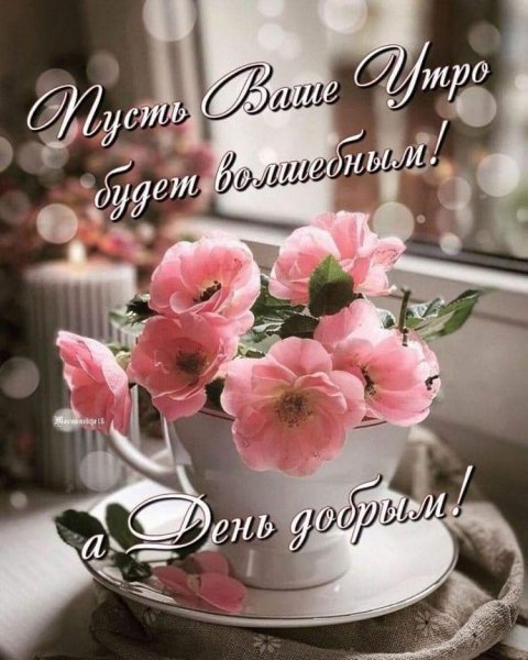 file_84424075