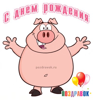 den-rozhdeniya-animatsiya-otkrytka-hryusha