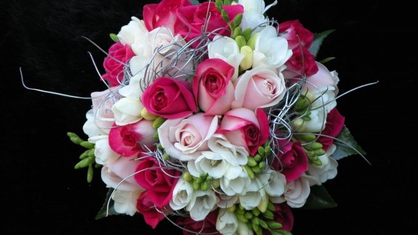 Image (8)