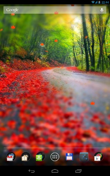 Forest Road Trip LWP