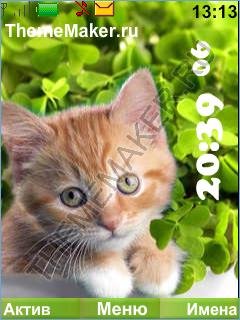 Рыжий котенок