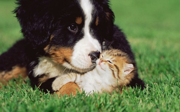 Try a Little Tenderness 8