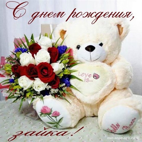 file_81288272