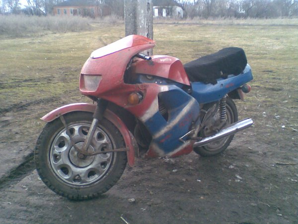 image (12)