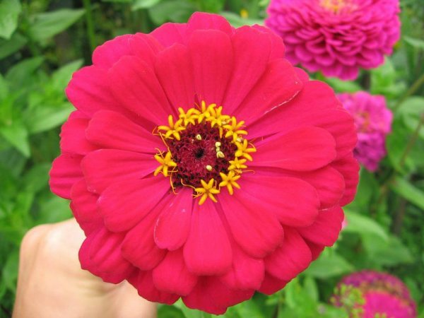 file_85268890