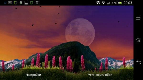 Wild Lupins Live Wallpaper 1.11