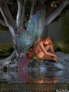 thm Butterfly