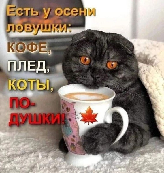 file_94936608
