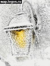 Snow Winter Light