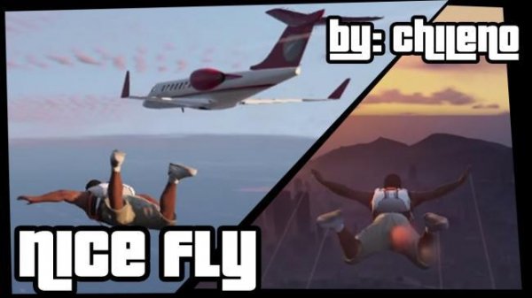 Nice-Fly-2.5